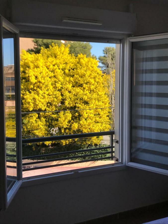 Appart' Au Port Fréjus Exterior foto